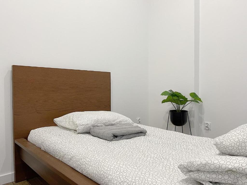 Polonia Art Apartments In The City Center Катовице Экстерьер фото