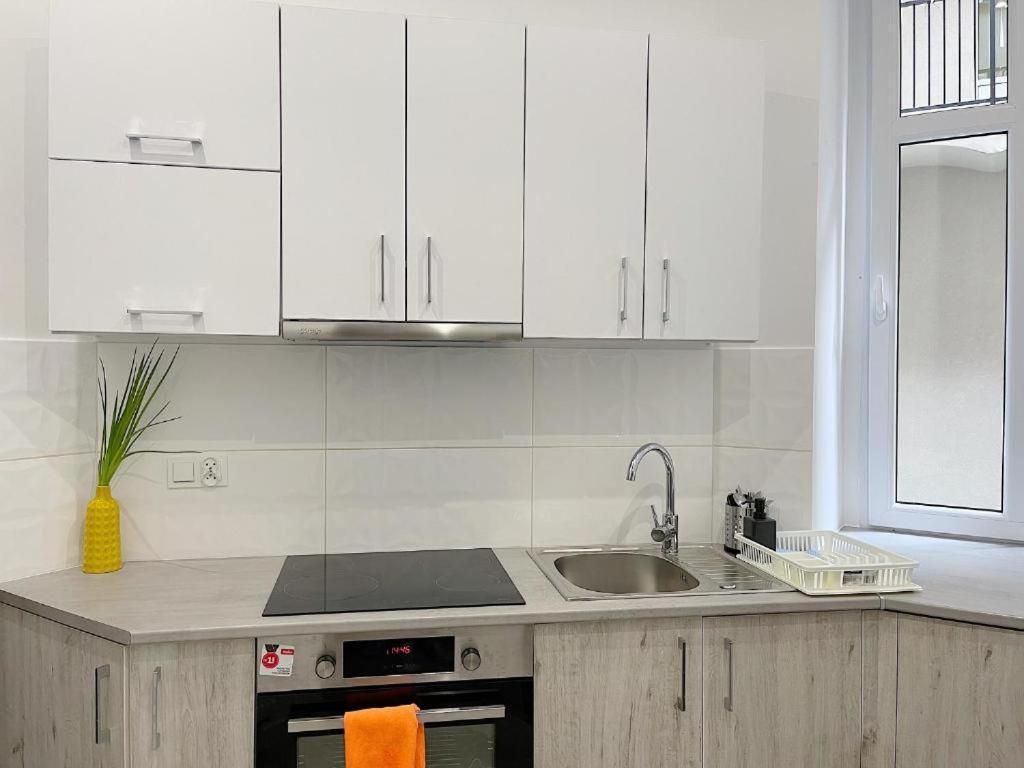 Polonia Art Apartments In The City Center Катовице Экстерьер фото